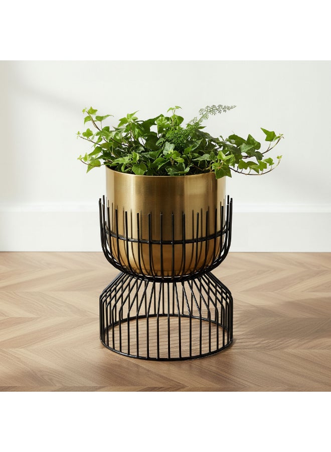 Home Box حامل نباتات معدني فاخر - ذهبي وأسود - Image 5